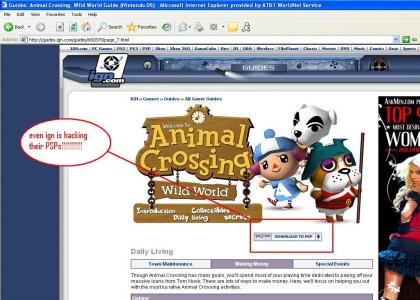 IGN hacks PSPs