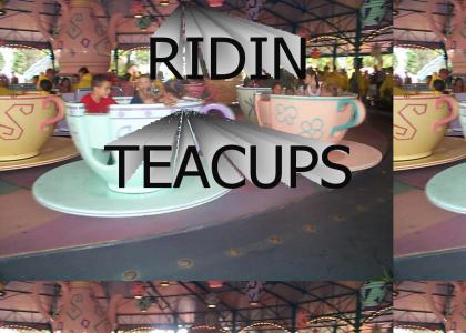 Ridin Teacup Ride at Disney World