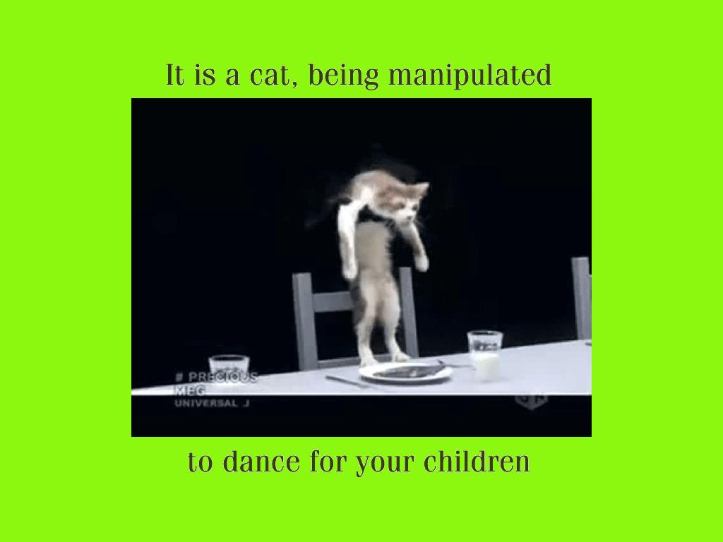 catmanipulation