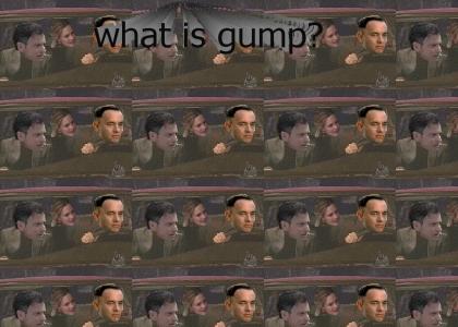 WHAT IS GUMP?