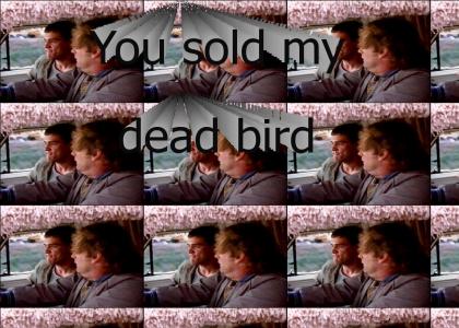 You sold my dead bird!!