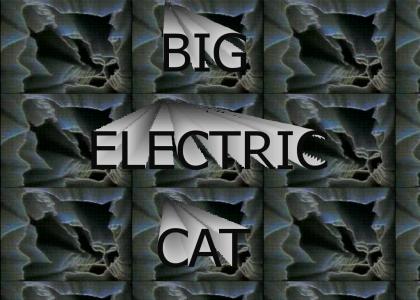 Big Electric Cat