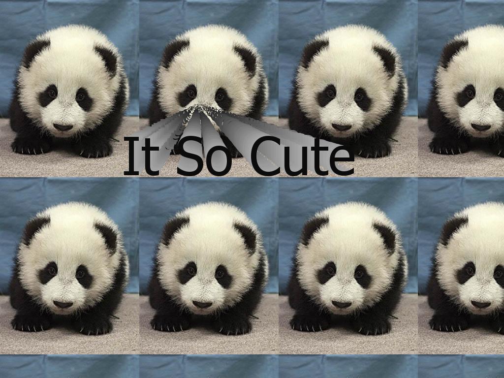 cutepanda