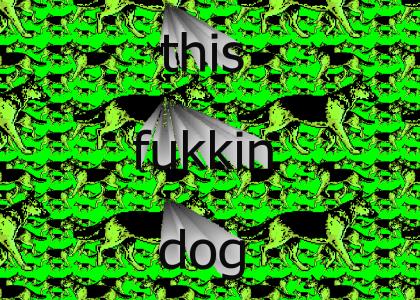 fukkindog