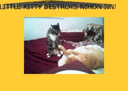Little Kitty Destroys Nihonjin!