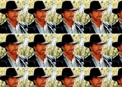 Chuck Norris tells the facts