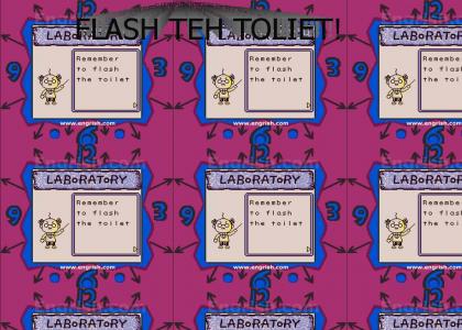 Flash the Toliet