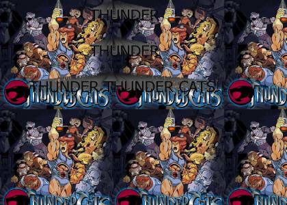 Thunder Cats