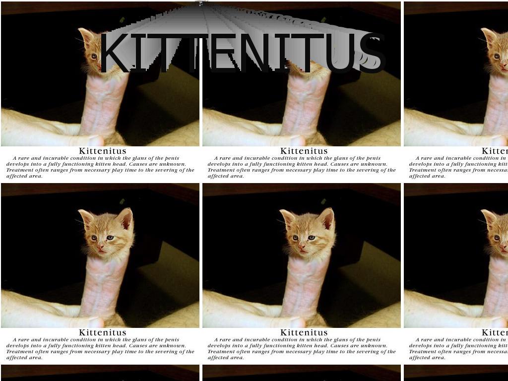 kittenitus