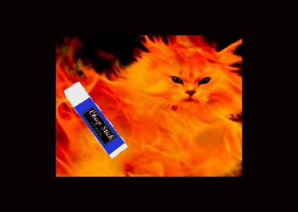 Flaming Cat