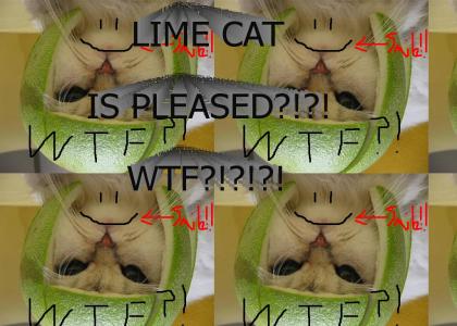 limecat....is pleased?!?!?!WTF?!?!?!