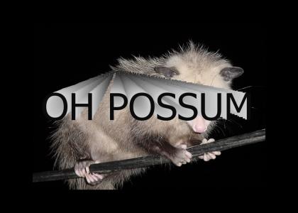 OH POSSUM