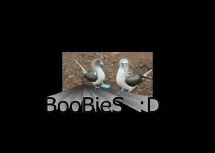 Wanna See Boobies? :D