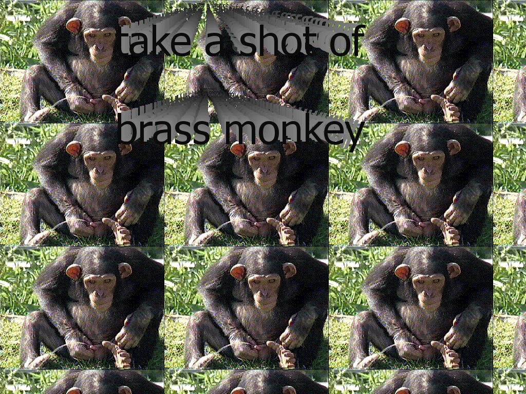 brassmonkeyfunkychunky