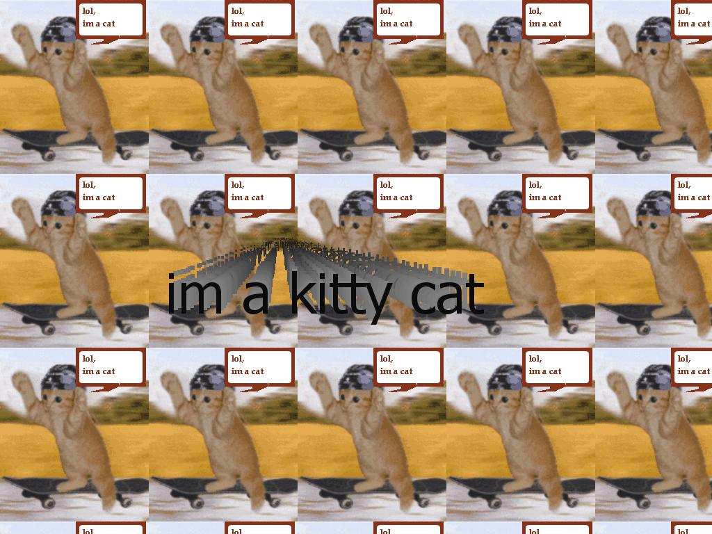 lolcatsteamsteam