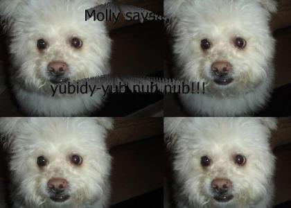 Molly the ewok