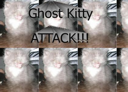 GHOST KITTY!!!!