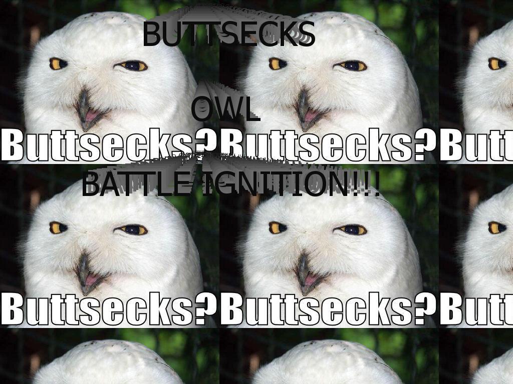 buttsecksowl