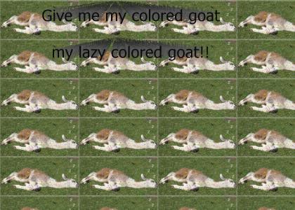 Colored Goat