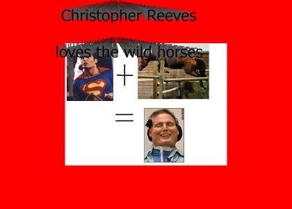 Who does Christopher Reeves want to be like?