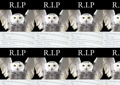 Hedwig dies :(