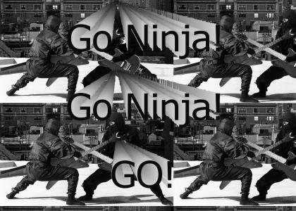 Go Ninja Go Ninja