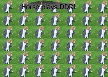 DDR Horse!