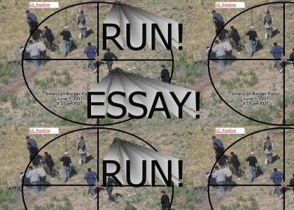 run essay run