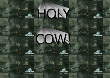 Cow + Shotgun