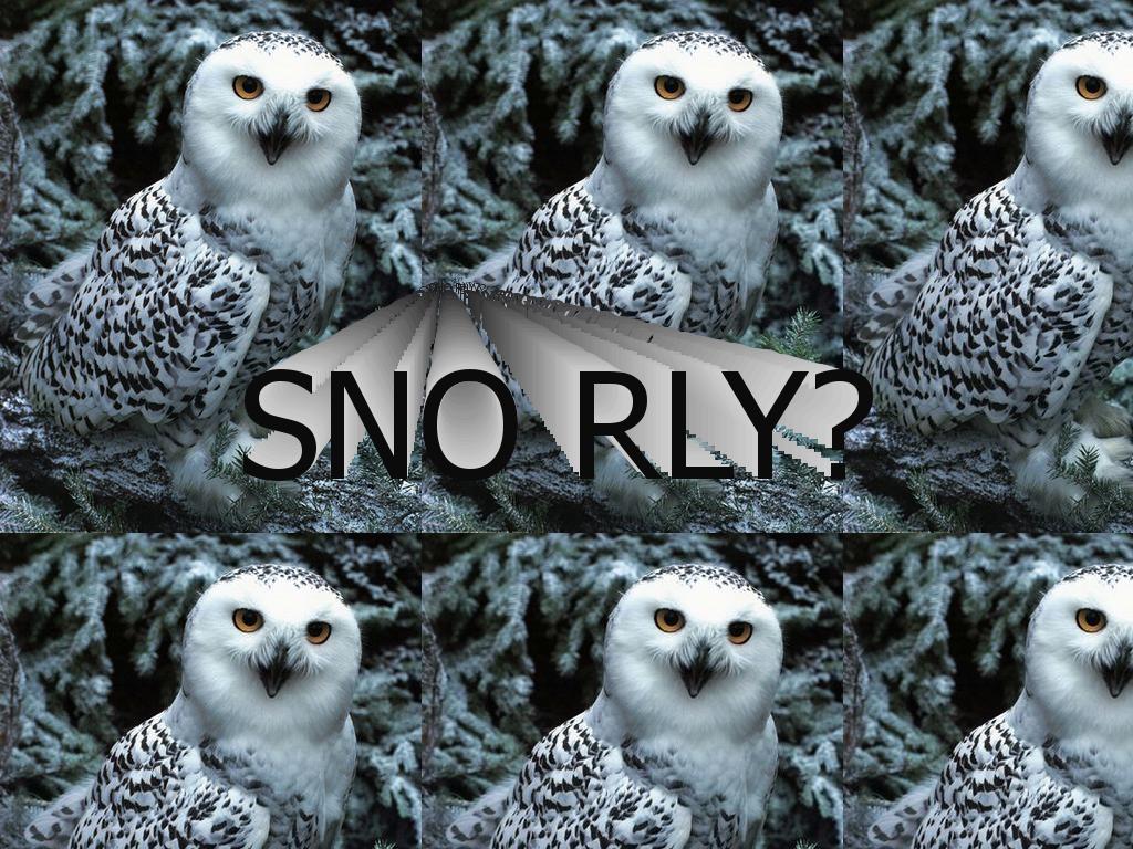snorlyorly