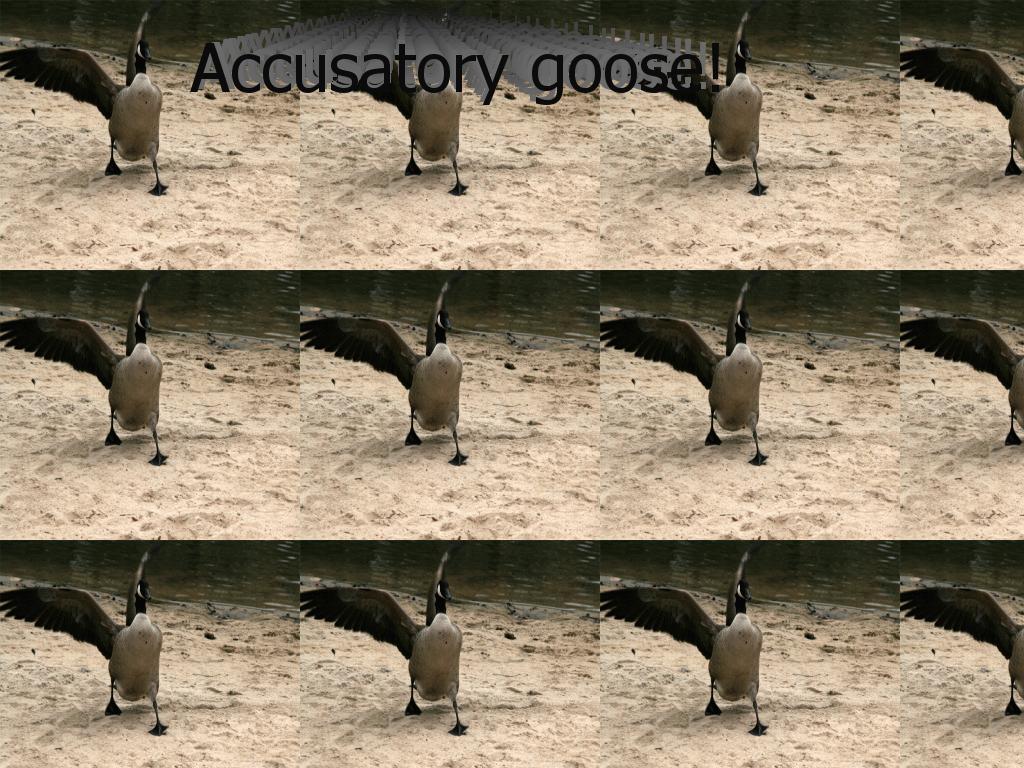 gooseygeezergeesegoose