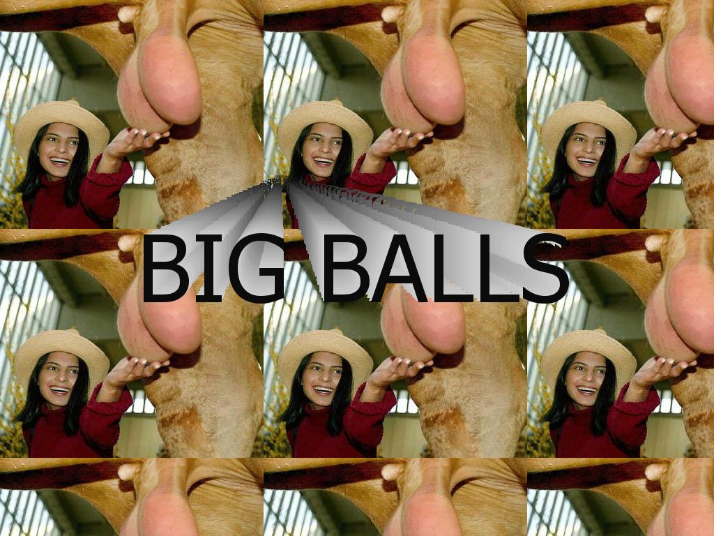 largeballs
