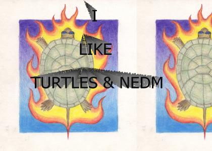 I Like Turtles With My NEDM