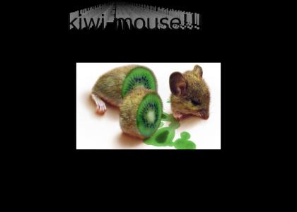 kiwi mouse