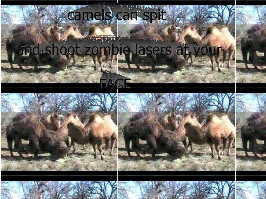 camelsarezombies