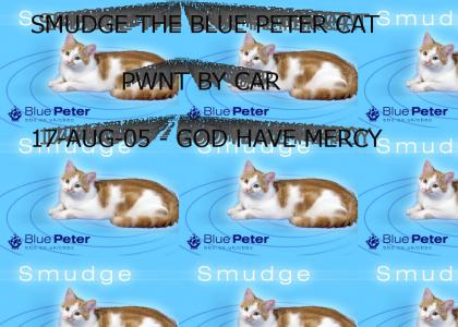 Smudge - Blue Peter Cat Killed