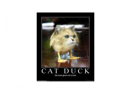 Cat Duck Couldn't Give A F**K..