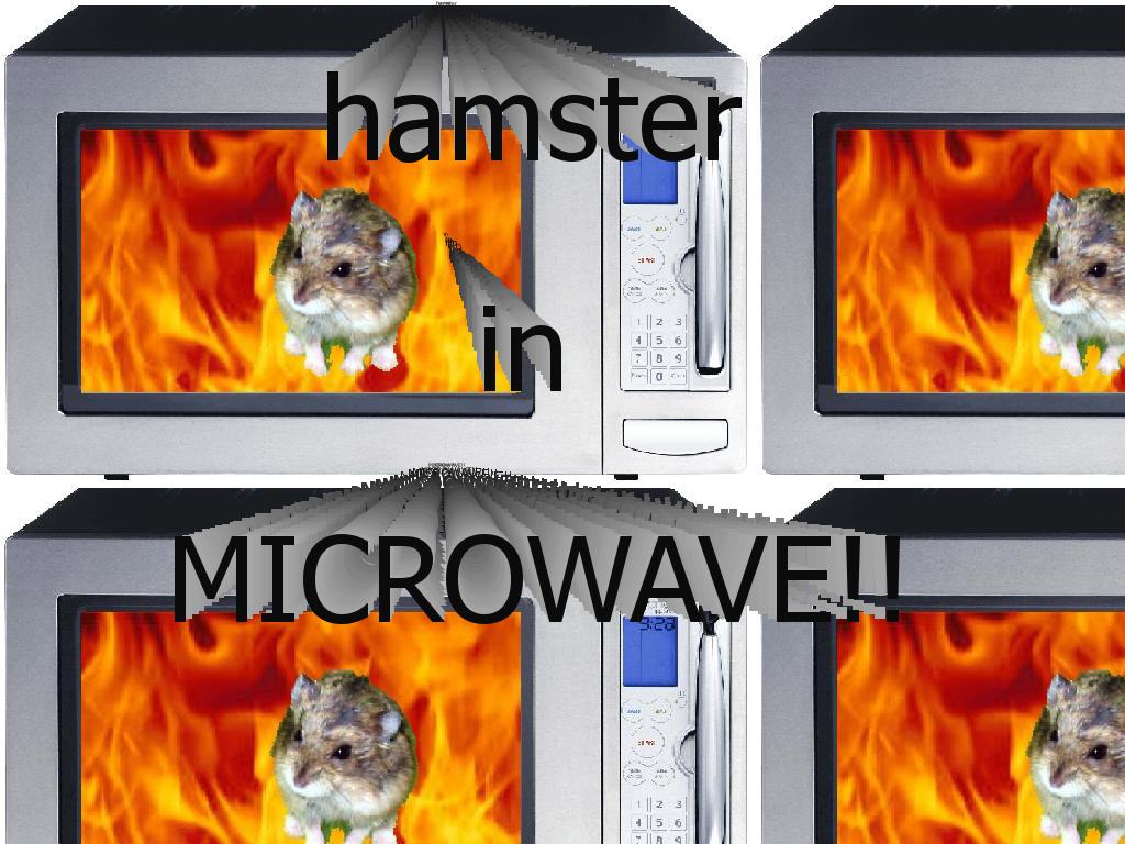 hamsterparty