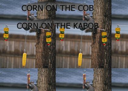 Squirrel Corn on the Cob!