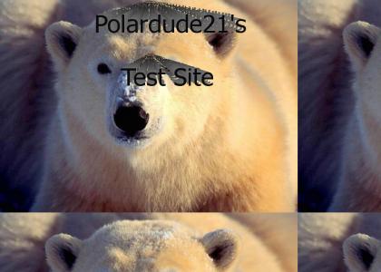 polardude test site