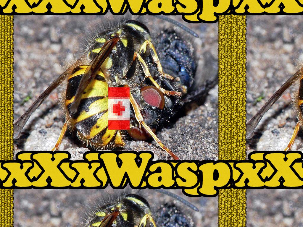 xXxWaspxXx