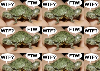 WTurtleF!?