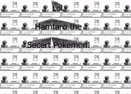 Hamtaro the Pokemon