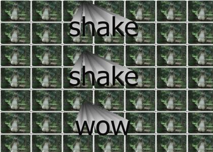 shake shake wow