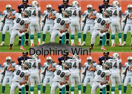 Dolphins Win!!