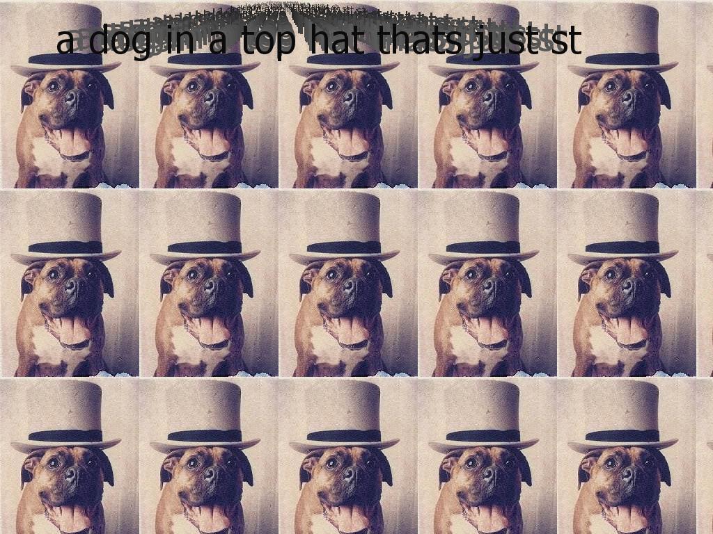 stupidtophat