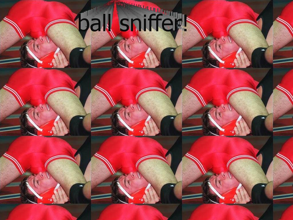ballsniffer