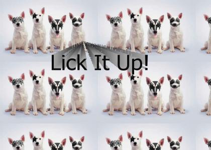 Lick It Up !