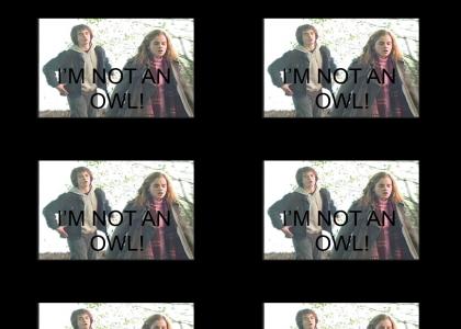 I'm not an owl :(