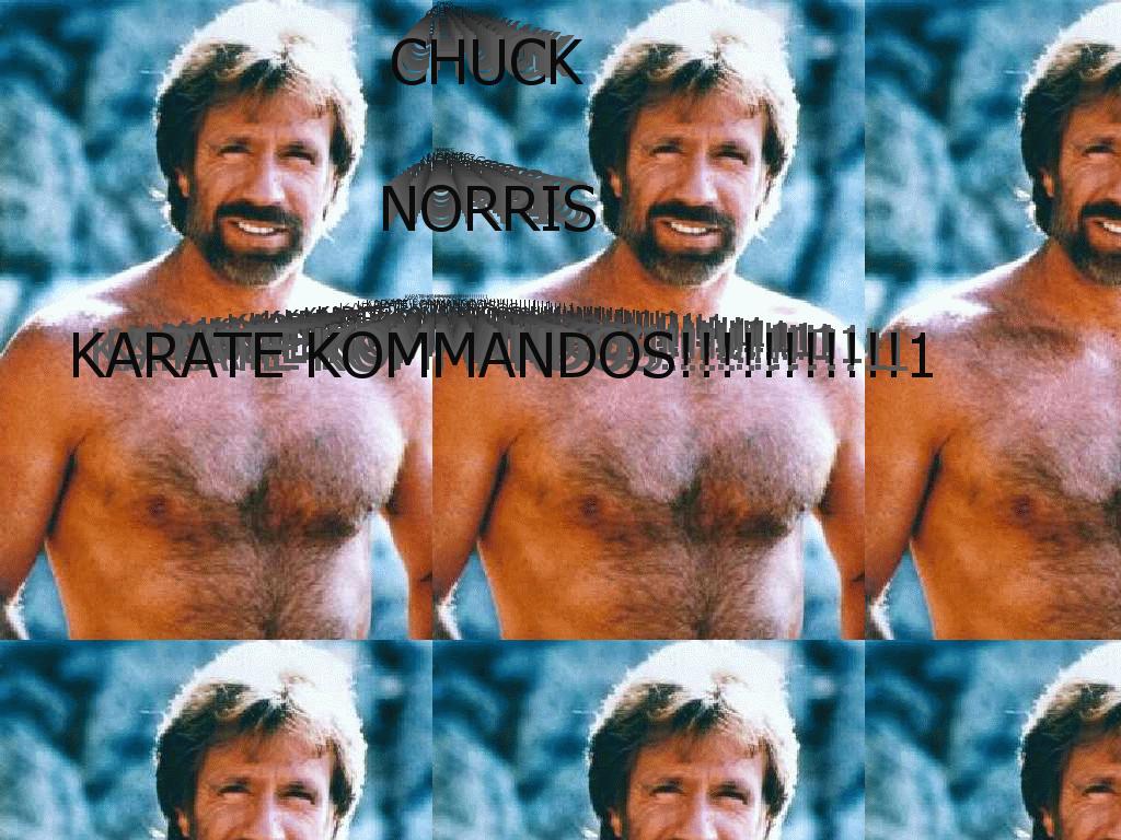 karatekommandos